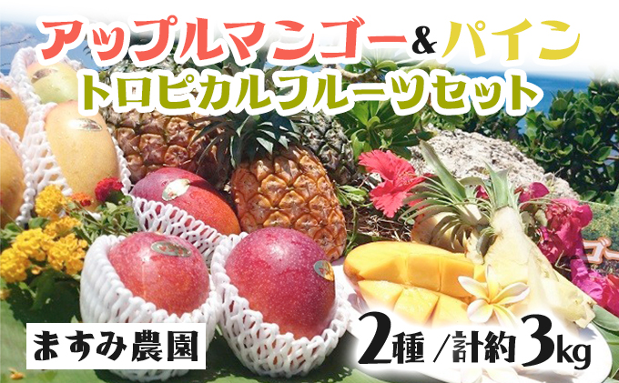2026年 先行予約 パイン マンゴー セット トロピカルフルーツセット ますみ農園 果物 005-a005_2026