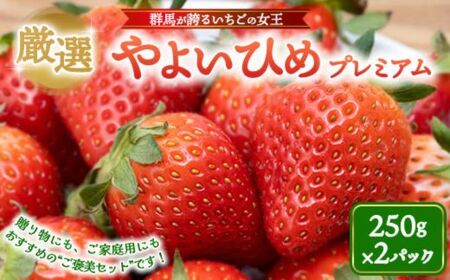 厳選 やよいひめ　プレミアム 2パック ｜ いちご 大粒 高糖度 果物 フルーツ 苺 イチゴ くだもの 新鮮 朝採れ 朝どれ ギフト プレゼント 贈り物 国産 群馬県 伊勢崎市 ※北海道・沖縄・離島への配送不可 ※2026年1月上旬～4月下旬頃に順次発送予定