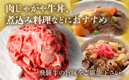 訳あり 飛騨牛 切落し 700g 切り落とし 部位お任せ 肉 牛肉 お肉 和牛 冷凍 岐阜県 等級 お任せ 炒め物 牛丼 国産 不揃い ブランド牛 11000円 [S541]