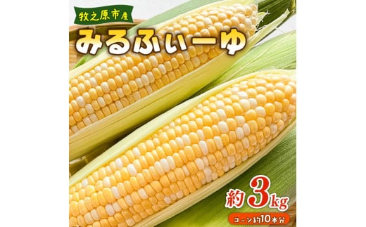 とうもろこし ミルフィーユ 10本 約3㎏ 糖度 コーン 甘い 美味しい 野菜 バーベキュー 産地直送 バイカラー 新鮮 生鮮 食品 大石農園 おいし~農園 静岡県 牧之原市
