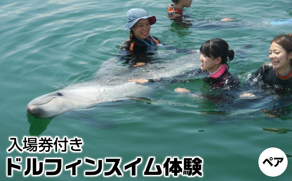 
            ドルフィンスイム体験 ペア 入場券付き【体験 イルカ ドルフィン 日本ドルフィンセンター 香川県 さぬき市】
          
