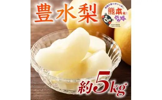 豊水梨 約5kg （ 6 ～ 18玉 ） くだもの 果物 フルーツ 果実 果汁 果肉 食感 甘み 香り 国産 熊本県産 梨 なし ナシ 旬 【 2026年08月上旬発送開始 】