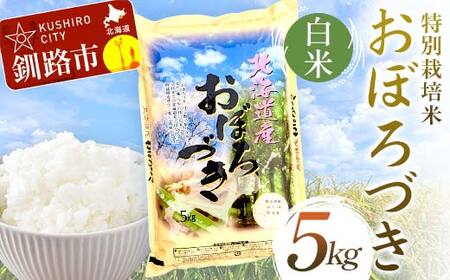 特別栽培米おぼろづき 5kg 白米 北海道産 米 コメ こめ お米 白米 玄米 通常発送 F4F-9818