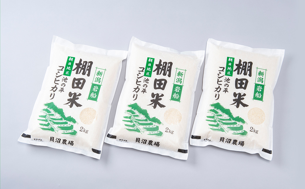 【令和7年産米】新潟県村上市岩船産 棚田米 コシヒカリ 6kg A4184