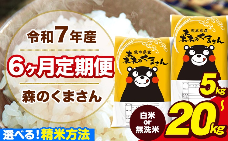 【6ヶ月定期便】新米 米 令和7年産 特A受賞品種 森のくまさん 送料無料 選べる 精米方法 白米 無洗米 内容量 5kg 10kg 15kg 20kg 熊本県産(長洲町産含む) お米《1月から出荷開始》長洲町 ふるさとのうぜい---mk7tei_78000_5kg_jan6_ng_h---