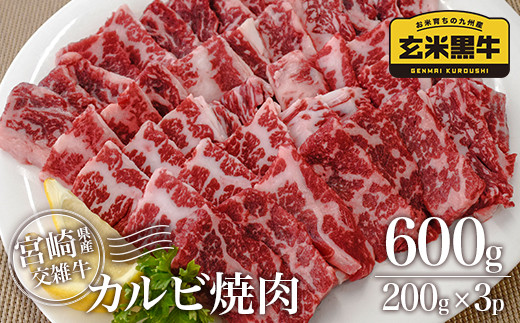 
【カミチク】カルビ焼肉600ｇ 200×3パック 小分け 宮崎県産玄米黒牛 ＜1.4-12＞焼肉 牛肉
