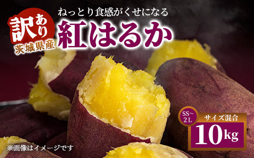 
            【訳あり】生芋10kg　SSサイズ～2Lサイズ（サイズバラ）　※離島への配送不可　※2024年11月下旬～2025年9月下旬頃に順次発送予定
          
