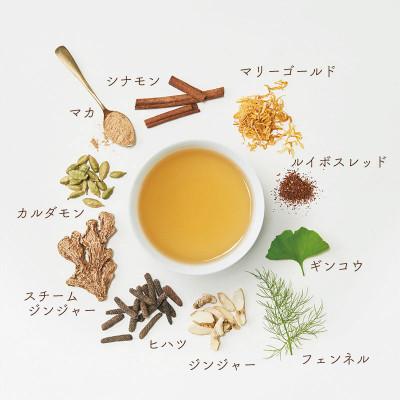 ふるさと納税 瑞浪市 私の30日茶 温巡ジンジャーブレンド 90個入(90日分)　生活の木瑞浪ファクトリー直送 |  | 01