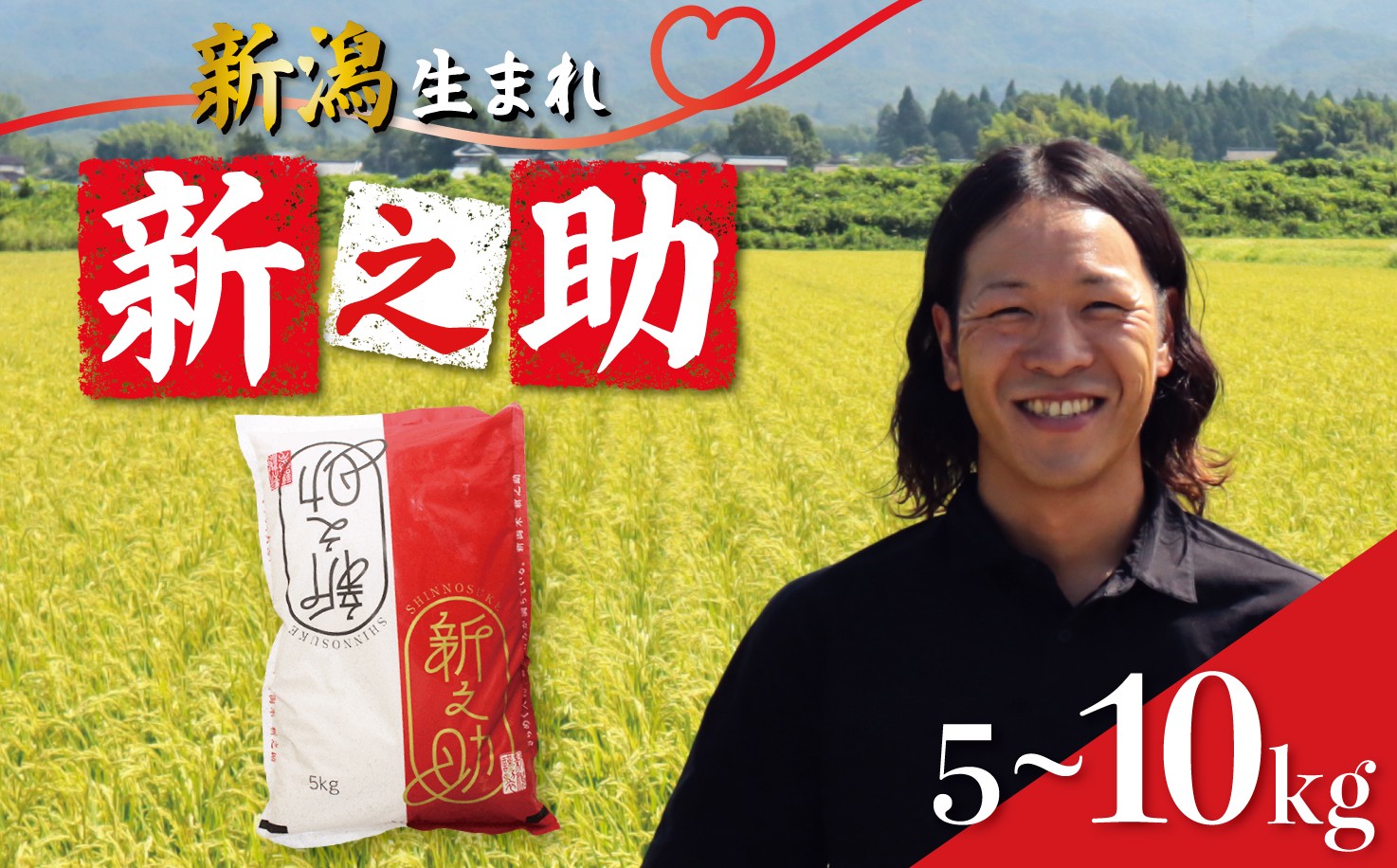 
                  【最短7日発送】 新潟 新之助 5kg 10kg 令和7年産 選べる 量 米 白米 精米 ブランド米 ご飯 しんのすけ おにぎり 弁当 新潟県産 新発田 お米 こめ 米 お弁当 新潟産 産地直送 人気 おすすめ 越後新鮮組 新潟県 新発田市 shinsengumi006P
                