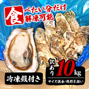 訳あり 生産調整品 殻付き 牡蠣 10kg (生食可) 冷凍 ＼ 牡蠣 ／