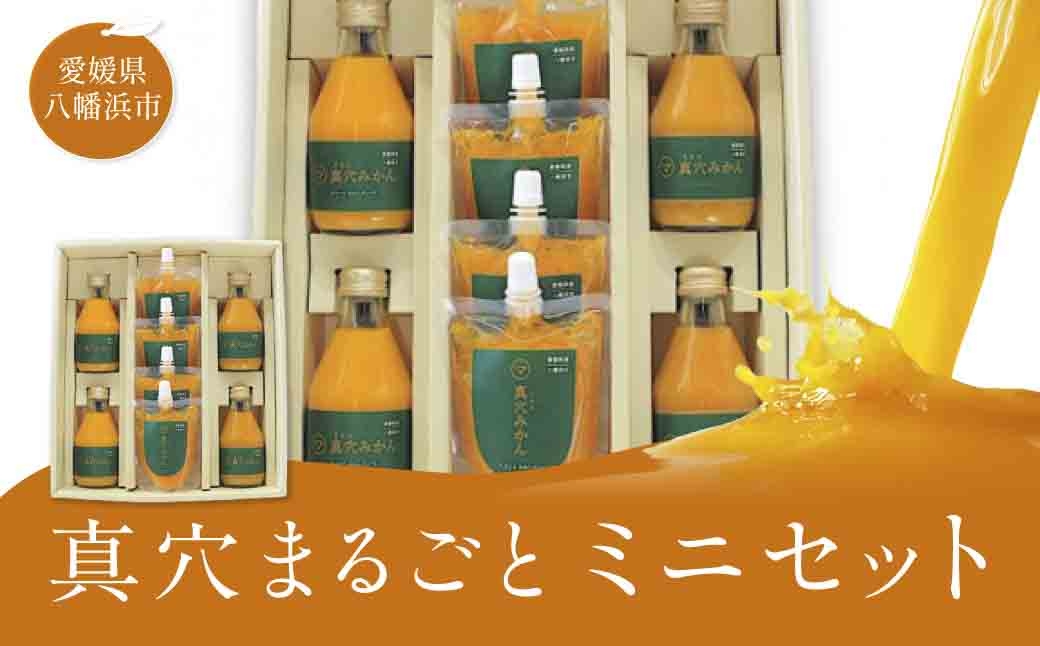 
                  真穴まるごとミニセット＜D43-9＞【1507906】 YWTAG009
                