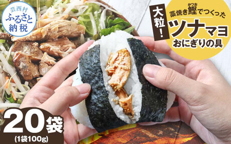 鰹ツナパウチ 100g×20袋セット 高知県土佐市 【企業組合　宇佐もん工房】 [BQAB066]
