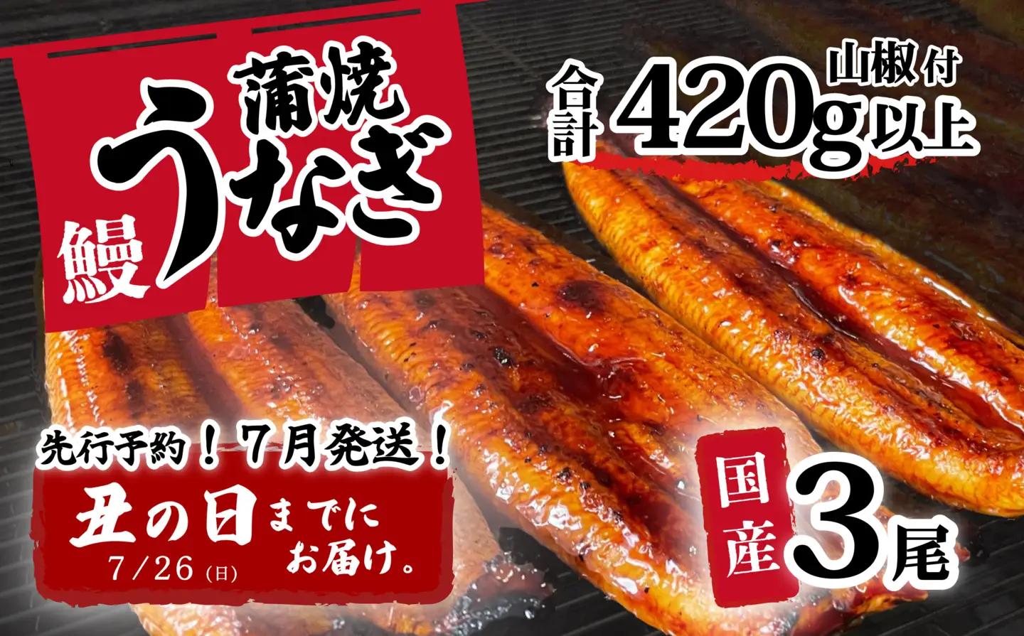 【土用の丑の日お届け】 国産 うなぎ 蒲焼き 3尾 420g以上 訳あり ウなぎ