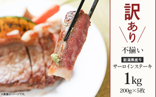 
                  76-A0A【訳あり】不揃い 新潟県産牛（長岡産）サーロインステーキ1kg（200g×5枚）
                