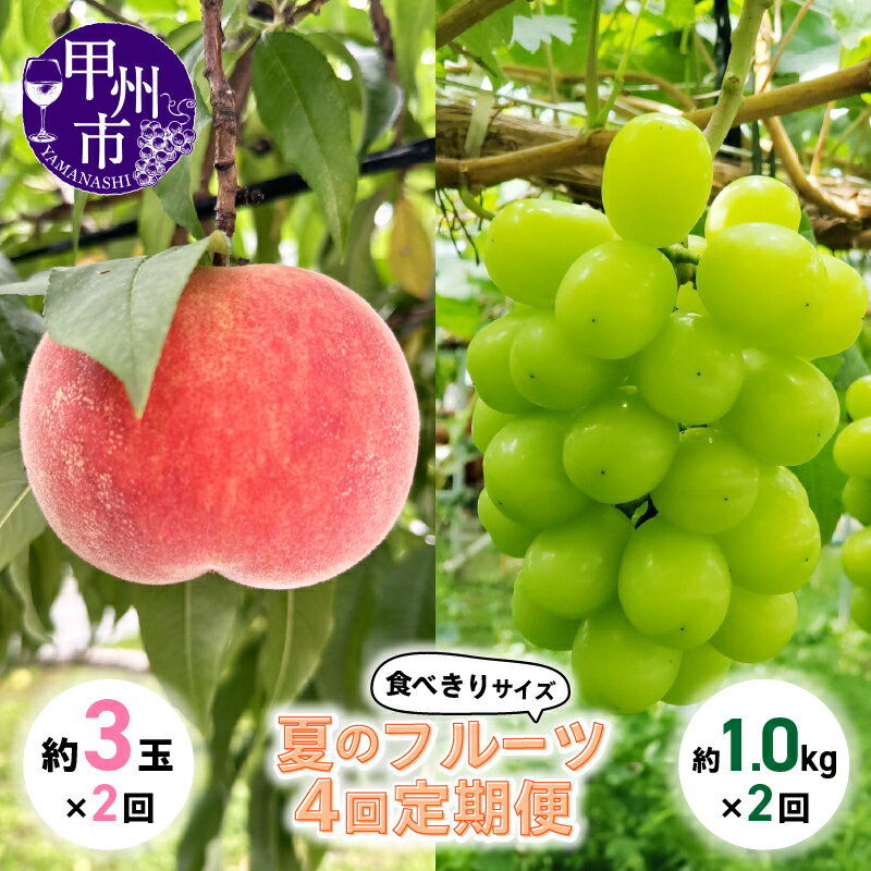 【ふるさと納税】 フルーツ 定期便 シャインマスカット 桃 全4回 果物 くだもの 甲州市産 マスカット 葡萄 もも 旬 新鮮 果実 スイーツ サラダ アレンジ 食べきり サイズ 夏のフルーツ 山梨県 甲州市 （KSB） 【D6-130】