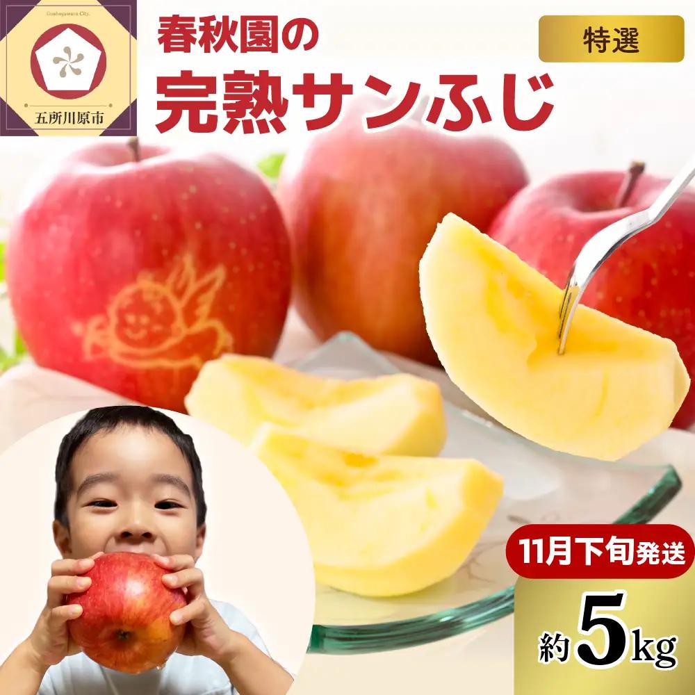 りんご　5kg【2026年11月下旬発送】青森産りんご 春秋園の「特選」大玉完熟サンふじ