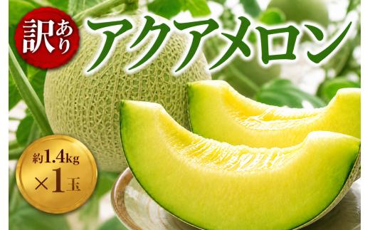 訳あり 千葉 アクアメロン 約1.4kg（ L玉 ） × 1玉 メロン めろん meron マスクメロン ますくめろん 果物 くだもの フルーツ ふるーつ L玉 Lサイズ 大玉 甘い 温室 温室メロン ジューシー 果肉 デザート おやつ 高糖度 アールスメロン 戸田メロン 千葉 東金