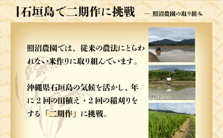 【石垣島産】日本最南端の日本一早い新米（清兵衛）2kg×2袋  TN-01