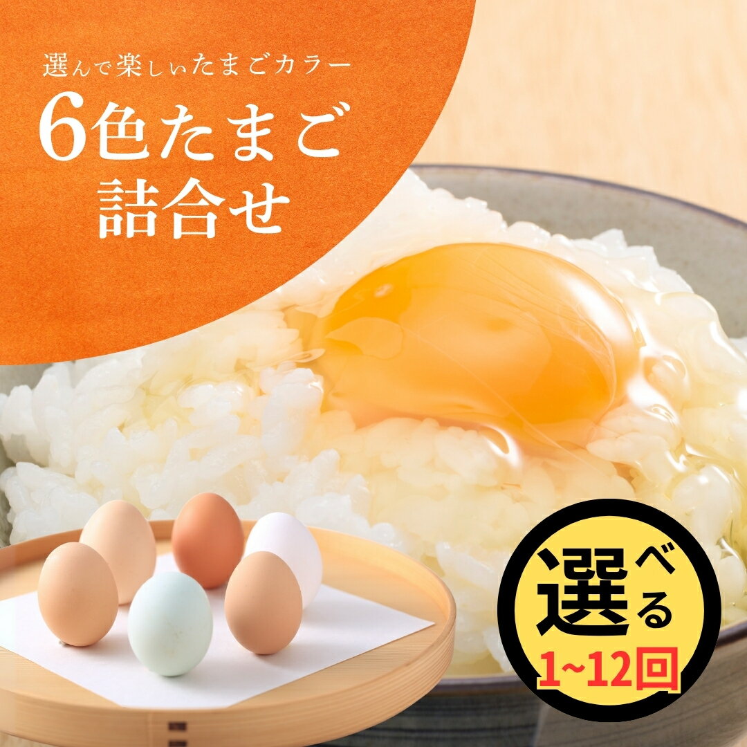 【ふるさと納税】 キムラファームの産みたて卵 6色たまご詰合せ 30個 1回?12回 選べる配送回数 産みたてたまご たまご 卵 玉子 タマゴ 鶏卵 オムレツ 卵かけご飯 たまご焼き 新潟県 五泉市 先行予約（2025年9月以降順次発送）