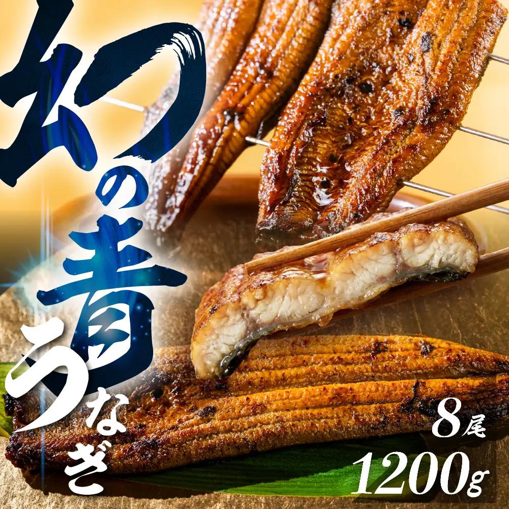 最高級 特上 幻の青うなぎ 8尾 うなぎ