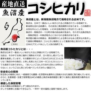 お米マイスター厳選！魚沼産コシヒカリ５kg×３ヶ月毎月発送　定期便