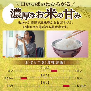 【最短4～7営業日発送】令和7年産 おぼろづき 5kg (5kg×1袋) 雨竜産 北海道