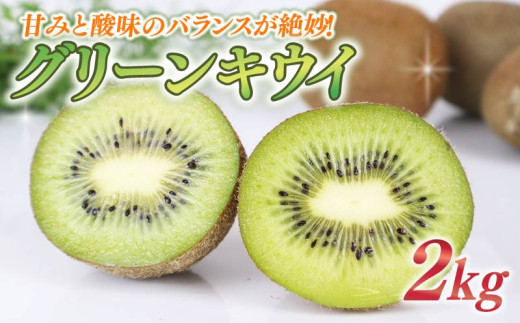 【期間限定】グリーンキウイ 2kg フルーツ 果物 スイーツ グリーン キウイ 王道 きうい みどり ぐりーん ヘイワード 産地直送 くだもの デザート ギフト プレゼント イーツ デザート  キウイ 産地直送 くだもの デザート ギフト プレゼント 贈答 国産 落合農園 静岡県 牧之原市