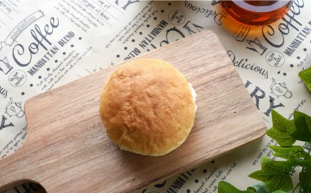 【数量限定】バーガー用バンズ10個＜岡崎製パン所＞[CEP031]