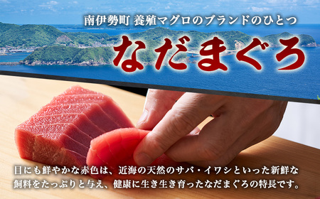 （冷凍） 本まぐろ 赤身 中トロ×2 詰合せ２～３人前【No.516】伊勢志摩まぐろ食堂 ／ 本鮪 専門店 お刺身専用 粗びき塩 三重県 南伊勢町
