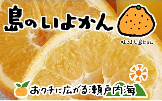 【2026年1月下旬から発送予定】 伊予柑 7kg 愛媛 中島産 いよかん みかん 柑橘 先行予約 愛媛県産 みかん 柑橘