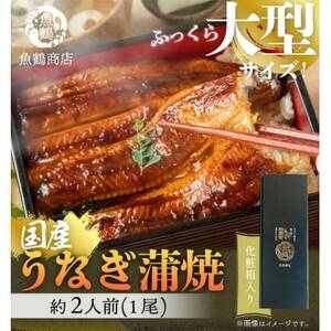 大型サイズ　ふっくら柔らか国産うなぎ蒲焼き　約2人前　化粧箱入【配送不可地域：離島】【1216726】