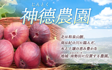いちじくジャム 3種 詰め合わせ（150g×3個） 神徳農園 《90日以内に出荷予定(土日祝除く)》 和歌山県 紀の川市 無花果 いちじく イチジク ジャム セット 詰合せ