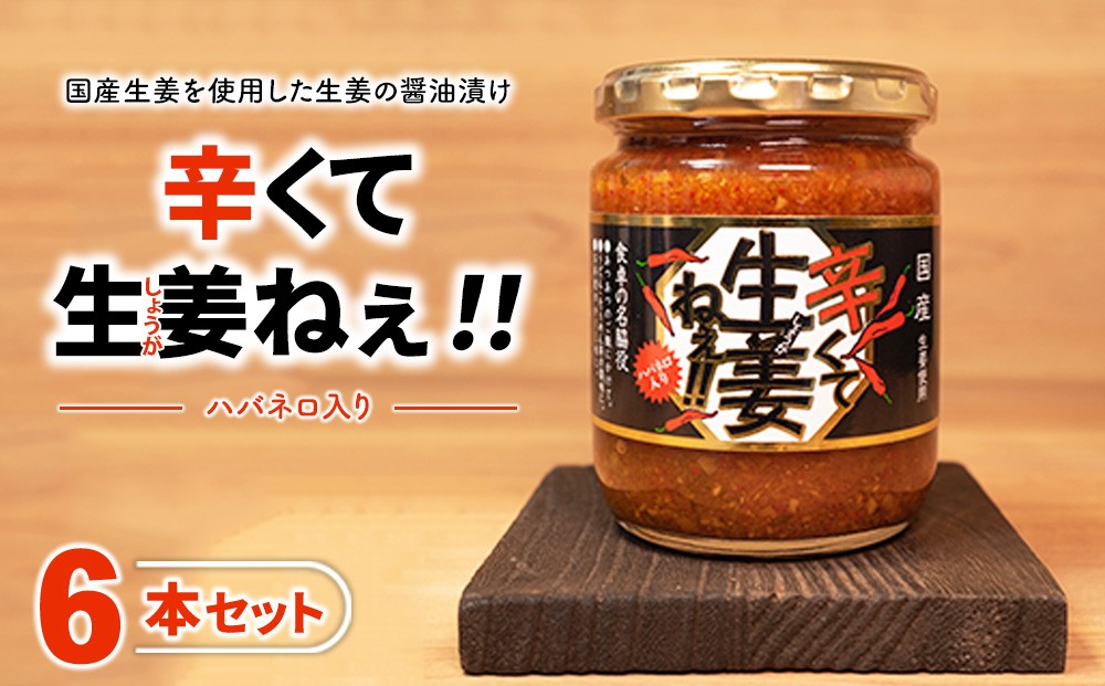 
                  辛くて生姜ねぇ!! 6本セット | しょうが 国産 醤油漬け ハバネロ ごはんのお供 お弁当 調味料 おつまみ 肴 薬味 隠し味 猪苗代町 福島県
                