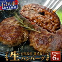 【ふるさと納税】石垣島産　黒毛和牛 生ハンバーグ　120g x 6個 ｜沖縄 石垣 石垣島産 黒毛和牛 和牛 ハンバーグ｜ UN-1