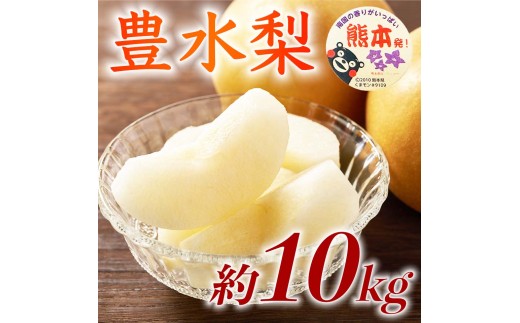 先行予約 豊水梨 約10kg（12～36玉） 【2026年8月上旬～2026年8月下旬発送予定】 梨 なし 和梨 豊水 国産 熊本県 熊本 九州 産地直送 果汁 たっぷり フレッシュ 日本フルーツ