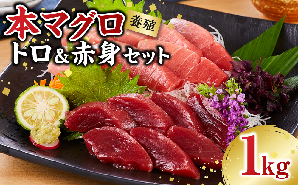 本マグロ（養殖）トロ＆赤身セット 1kg［KS13］ 304018_CG1003