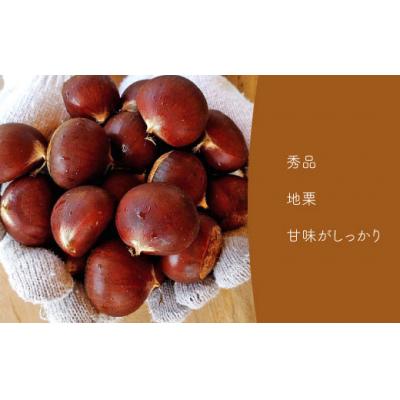 ふるさと納税 佐川町 夢甘栗 秀品 高級生栗 約1kg<2026年10月中旬以降発送予定> |  | 01