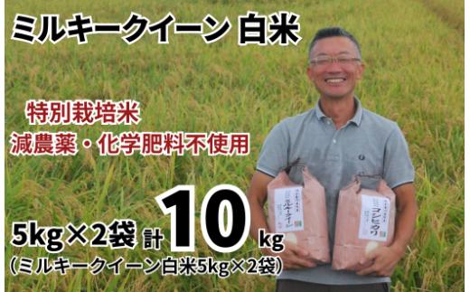 特別栽培米 ミルキークイーン 白米 10kg （5kg×2袋） 令和７年産 2025年産 小分け 単一米 精米  減農薬 化学肥料不使用 埼玉県認証 埼玉県 川島町
