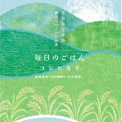 ふるさと納税 大津市 ◆毎日のごはん◆きれいな水の棚田でつくったお米 特別栽培米 コシヒカリ白米 10kg
