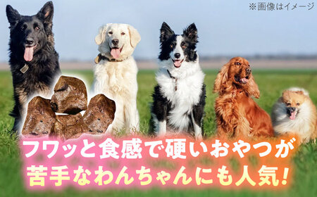 わんこのおやつ（犬）無添加手づくり 馬肺ジャーキー5袋 糸島市 / mogmog factory[AXO004]
