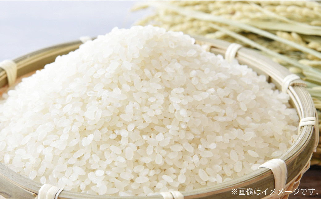 
            【令和7年産】 特別栽培米ヒノヒカリ （精米） 20kg 予約 新米 ヒノヒカリ 精米 井上農園 米 お米 白米 【2025年10月上旬～12月下旬迄発送予定】
          