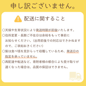 【贈答用】果汁たっぷり極上梨「新興・3kg」（2025年産）　果汁たっぷり　船橋産　9月下旬発送　期間限定　特大級　梨　夏　6-9玉　なし　水菓子　果物　デザート　プレゼント　贈答品