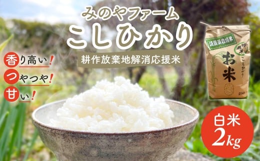 令和7年産新米 こしひかり 2ｋｇ（白米） みのやファーム 耕作放棄地解消応援米  【 コシヒカリ こしひかり おいしい お米 米 こめ 自然栽培 贈り物 ギフト 千葉県 御宿町 人気 おすすめ ランキング 】 ONJF001