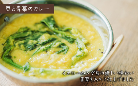 「おうちでやまのカレー」 季節の冷凍カレー3食セット 200g×3袋 専用BOX入り　カレー スパイス 薬膳 アーユルヴェーダ グルテンフリー 冷凍