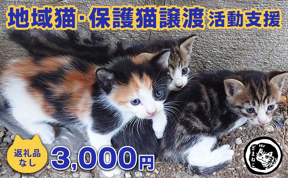 
                  【返礼品なし】地域猫・保護猫譲渡活動支援　NPO法人ざま野良猫を増やさない会 3,000円 | 猫 ねこ 動物 保護 愛護 譲渡 保護活動 応援 支援 寄附
                