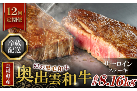 【冷蔵配送】全国大会W受賞！奥出雲和牛サーロインステーキ4枚の定期便×12回 （毎月24日お届け）【牛肉 定期便 サーロインステーキ 170g×4枚 12回 ステーキ 人気 冷蔵 国産 奥出雲和牛 黒毛和牛 ブランド牛 贅沢 お祝い 贈り物 プレゼント ギフト】