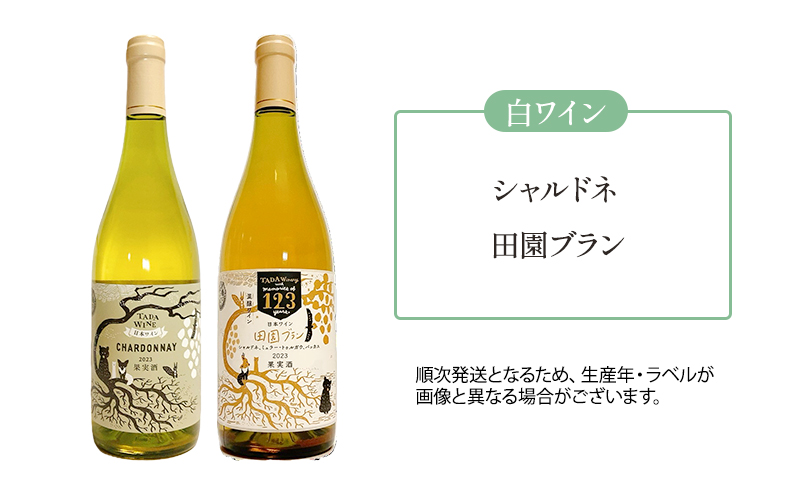 【野生酵母】かみふらの 多田ワイナリー 赤白ワイン 計4本　ワイン 赤ワイン 白ワイン 飲み比べ セット ぶどう 葡萄 ワイナリー 酒 北海道 上富良野町