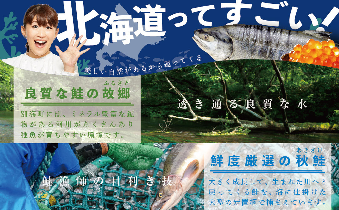 【 年2回 いくら 定期便 毎月 定期 】北海道 産 鮭 イクラ 500g ( 250g × 2パック) 2回 産直 計 1kg