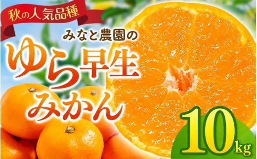 【9月30日受付終了】みかん みなと農園のゆら早生みかん 約10kg 2S～Lサイズ混合 | みかん ミカン 蜜柑 温州みかん 温州ミカン 由良早生 柑橘 フルーツ 果物 くだもの 甘い 旬 人気 果汁 濃厚 ジューシー デザート 産地直送 農家直送 みかん 国産 お取り寄せ 三重みかん 期間限定 先行予約 みかん おすすめ みかん【2026年10月中旬頃〜順次発送】【mntf0008】