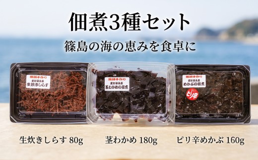 佃煮3点セット(生炊きしらす、茎わかめ、ピリ辛めかぶ) 冷凍 しらす つくだ煮 佃煮 ごはんのお供 しらす ごはん 米 おつまみ めかぶ しらすごはん シラス わかめ 茎わかめ shirasu sirasu SIRASU 人気シラス お茶漬け おにぎり 海鮮 小魚 丼 お弁当 朝食 しらすおにぎり 南知多町産しらす 魚 新鮮しらす 海産物 さかな しらす 海の幸 ギフト プレゼント しらす